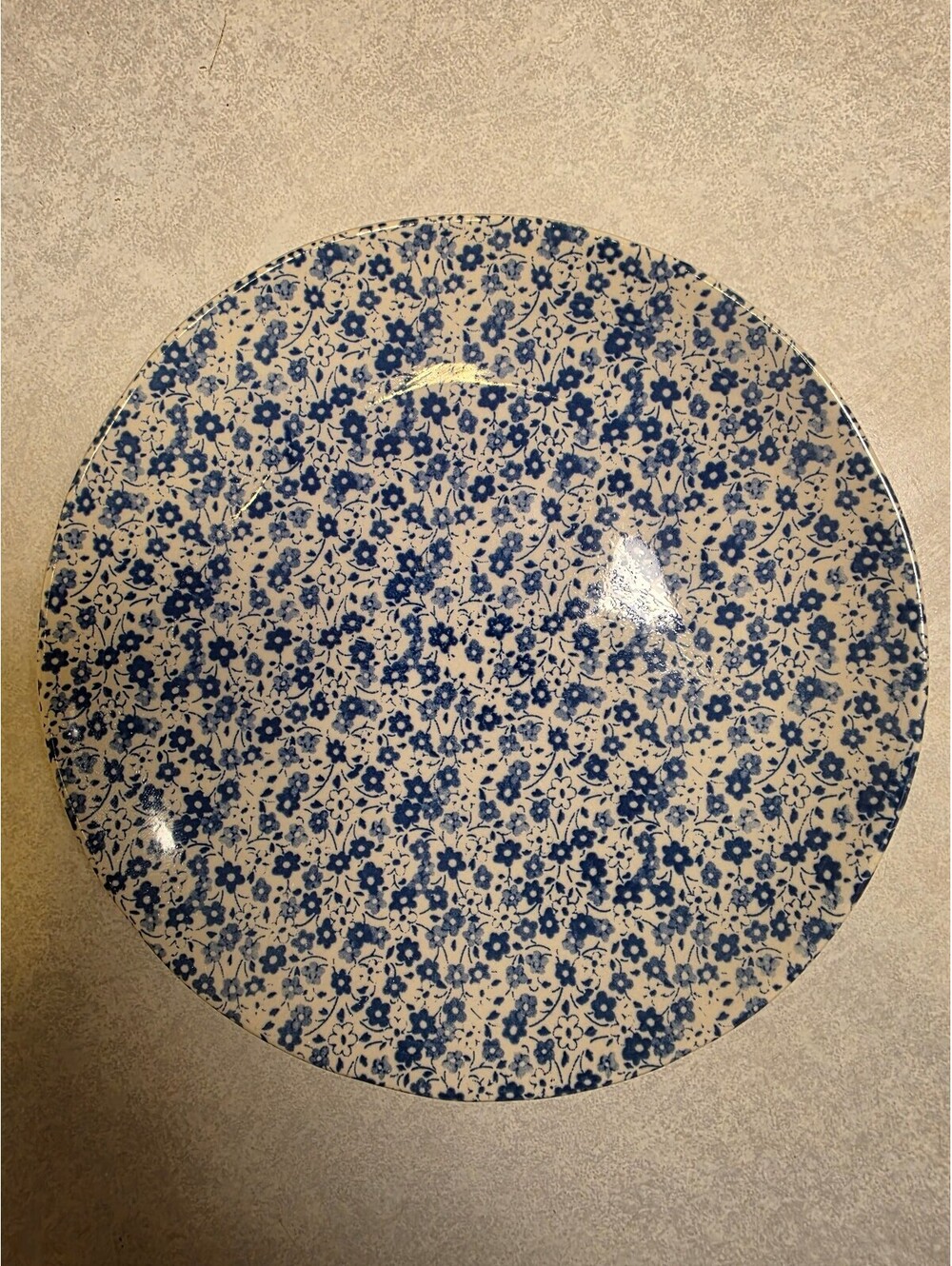 Creative Co-Op Blue White Floral Stoneware Plate 8.5" Dishwasher Microwave Safe